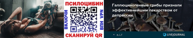 Купить  Мирный  Псилоцибиновые грибы Cubensis 