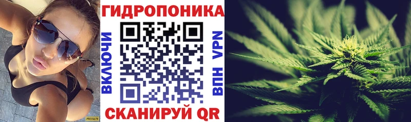 Конопля гибрид Мирный